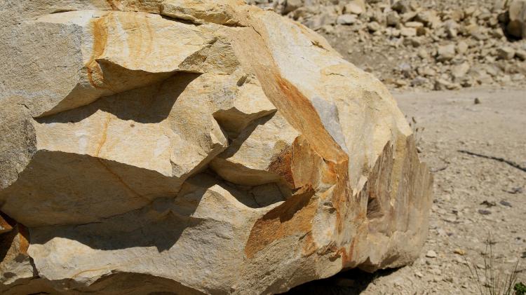 Charity lodge appeal after local planners approve infilling of former Longford quarry