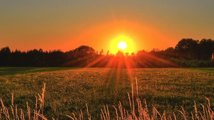 Dawn Chorus is calling! Longford groups invited to get musically involved