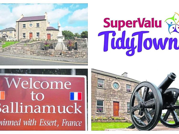 Ballinamuck receive tidy towns results Longford Leader