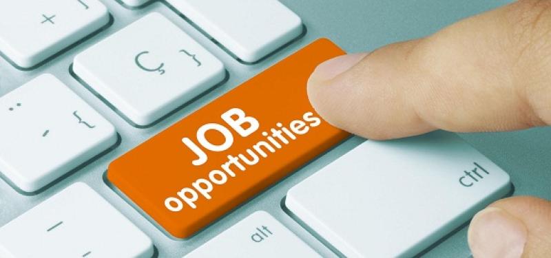 Longford jobs round-up: Who's hiring in the county this week?