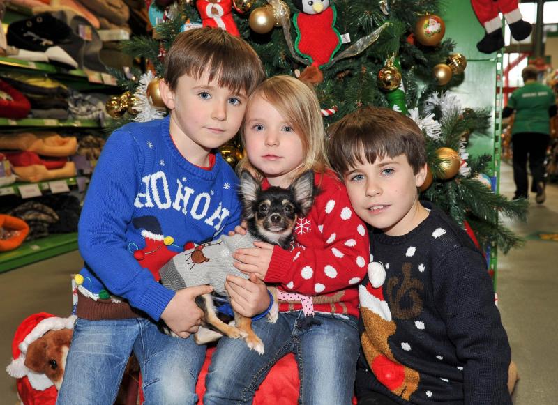 Longford’s pampered pets back in favour on Santa’s Christmas list