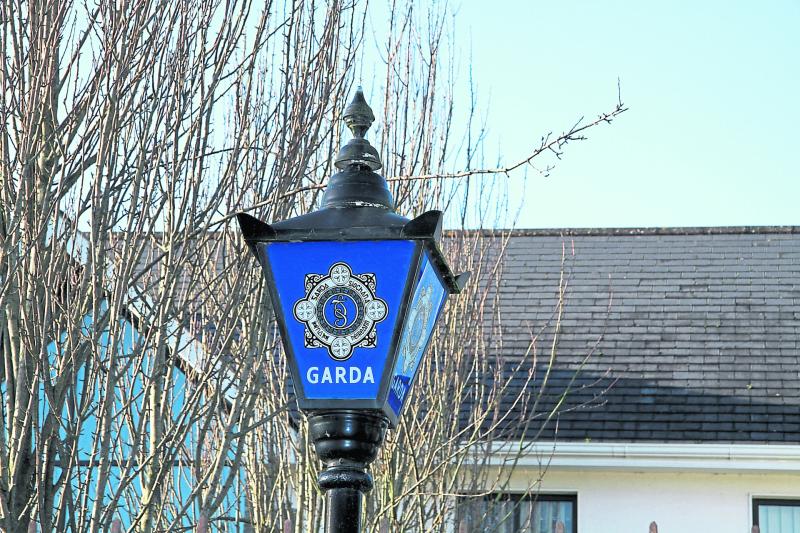 Garda probe underway as car found burned out in Longford