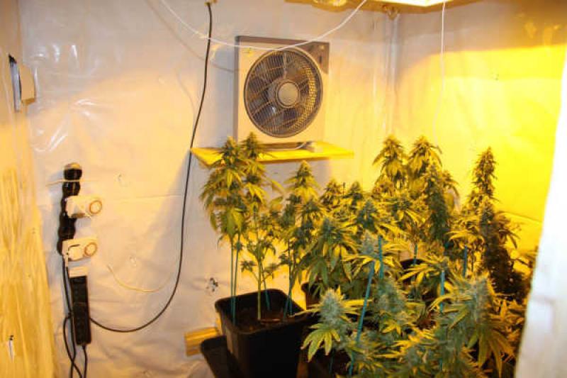 Breaking News: Gardaí in €200,000 drugs seizure at highly sophisticated grow house 