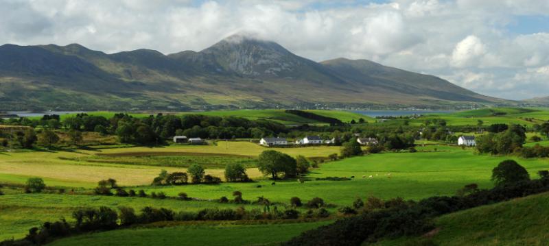 Farming in Longford 