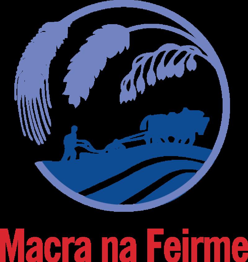 Longford Macra na Féirme members encouraged to engage in strategic planning process 