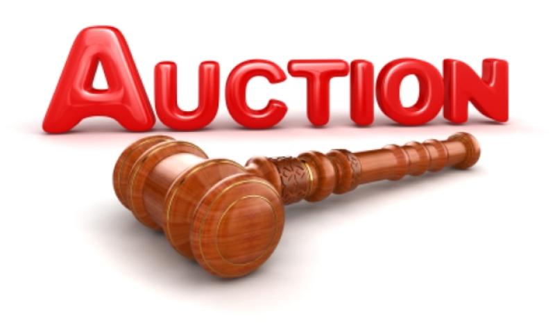 St John’s Community Centre monster auction 