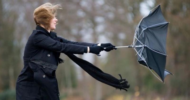 Safety tips for drivers and homeowners ahead of #StormLorenzo