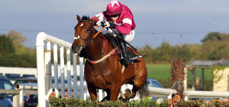 Roacommon Races 