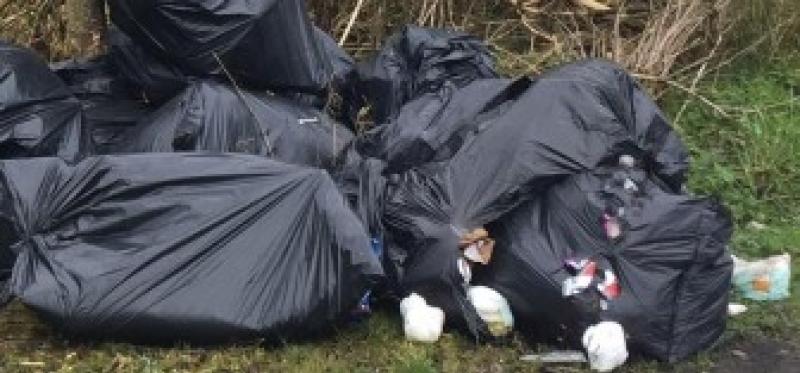 Tipping point! Karma for Longford fly-tipper caught dumping bags of rubbish