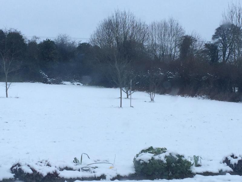 Snow