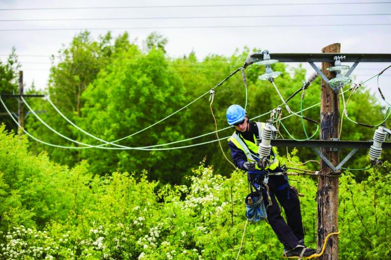Over 1,700 hit by major power outage in south Longford as #StormLorenzo strikes