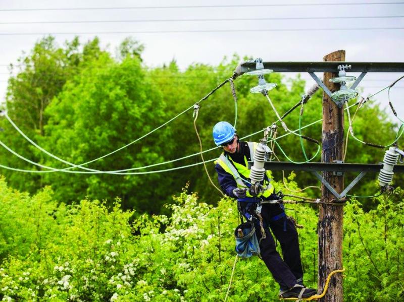 Longford homes without electricity as Storm Elsa sweeps country