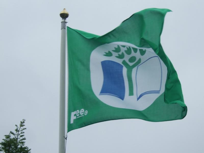 Delight as ten Longford schools awarded Green Flag