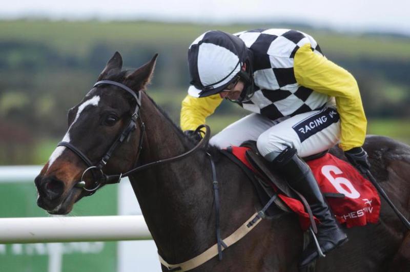 THE PUNTER'S EYE: Three horses to consider in the Thyestes Chase 