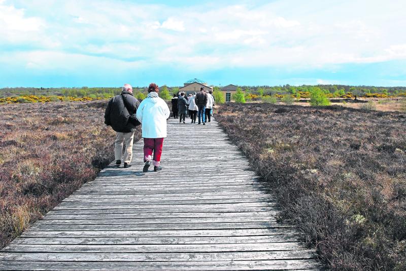 Corlea Trackway given €130k boost
