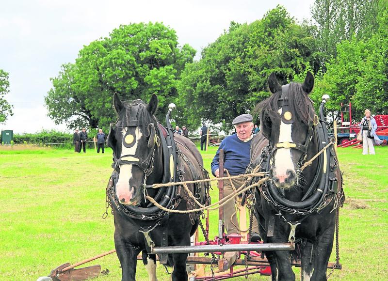The Ploughman and the Stars
