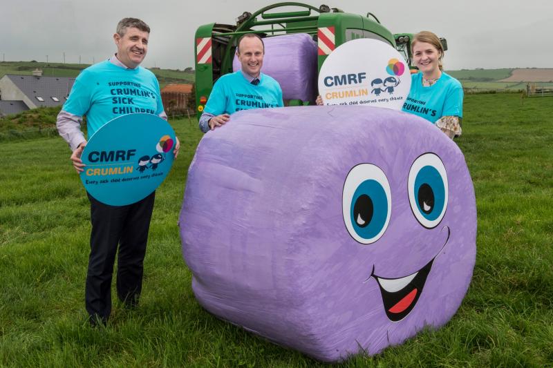 Longford support sought for Purple Bales for Crumlin Children’s Hospital campaign
