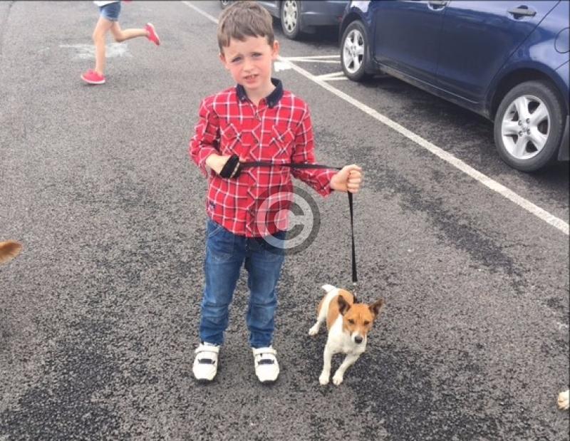 Granard show 2017