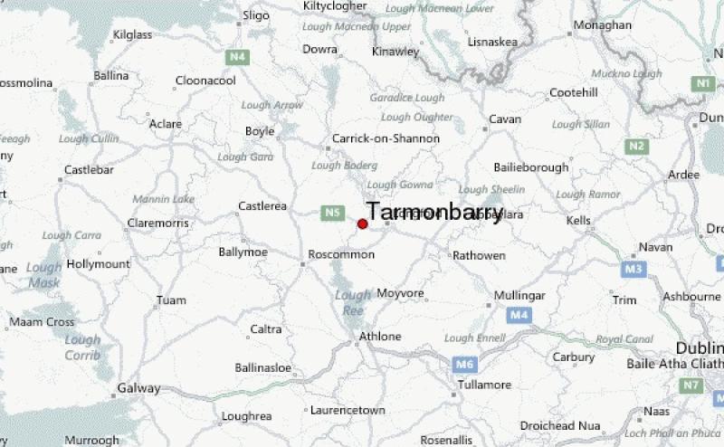 Tarmonbarry drowning accident
