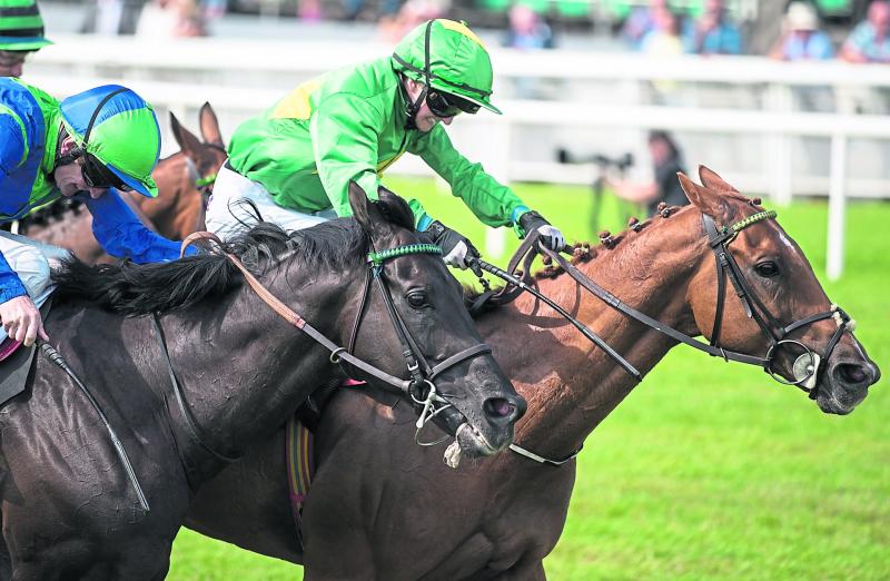 THE PUNTER'S EYE: 'Genie' can work magic to claim Bobbyjo Chase 
