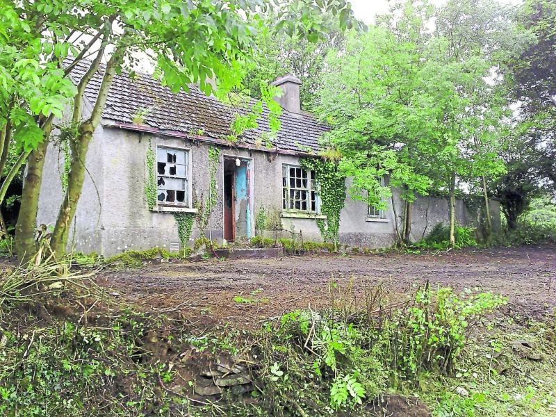 Leinster Property Auction