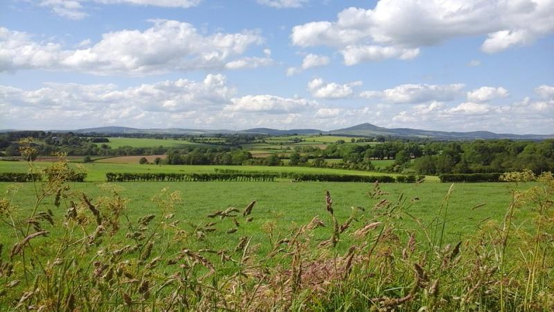 Longford's good land prices sit at €12,625 per acre