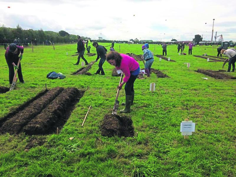 National Ploughing Championships 2017