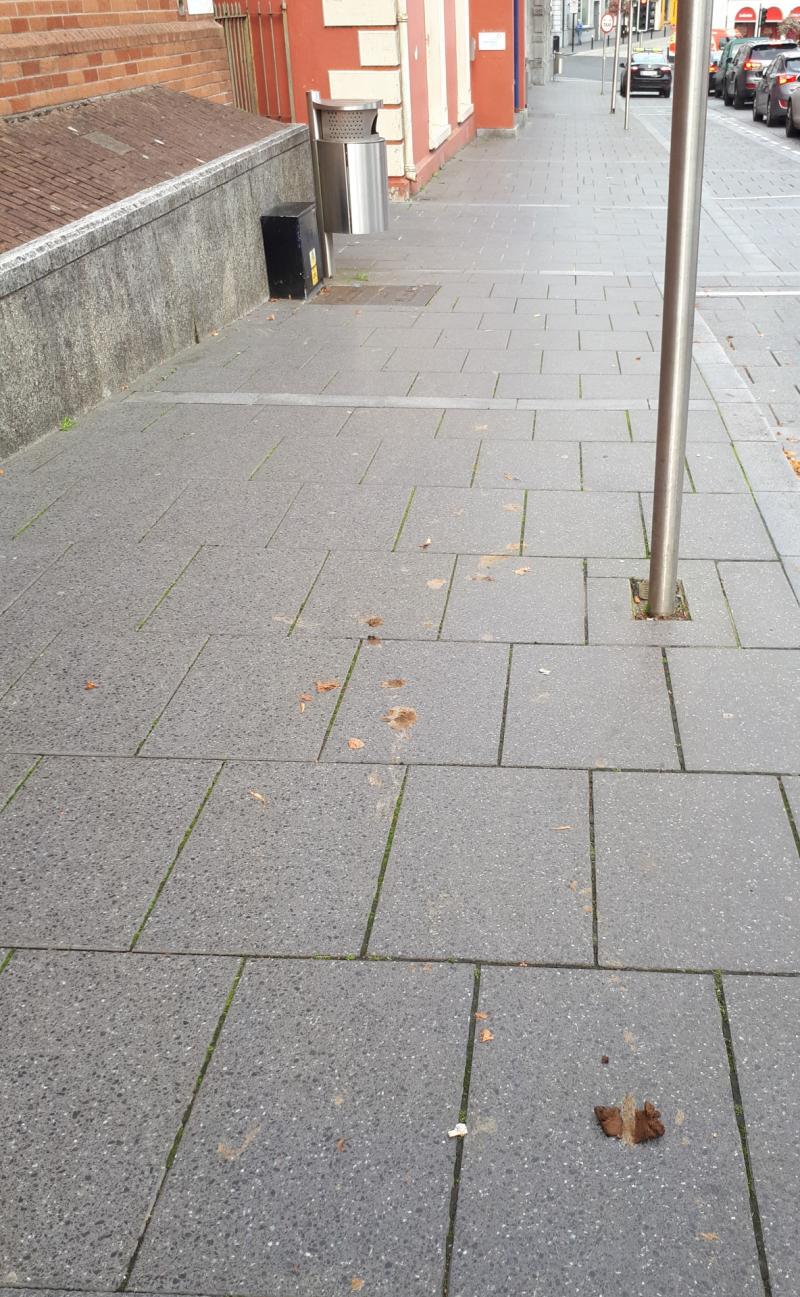 Dog fouling