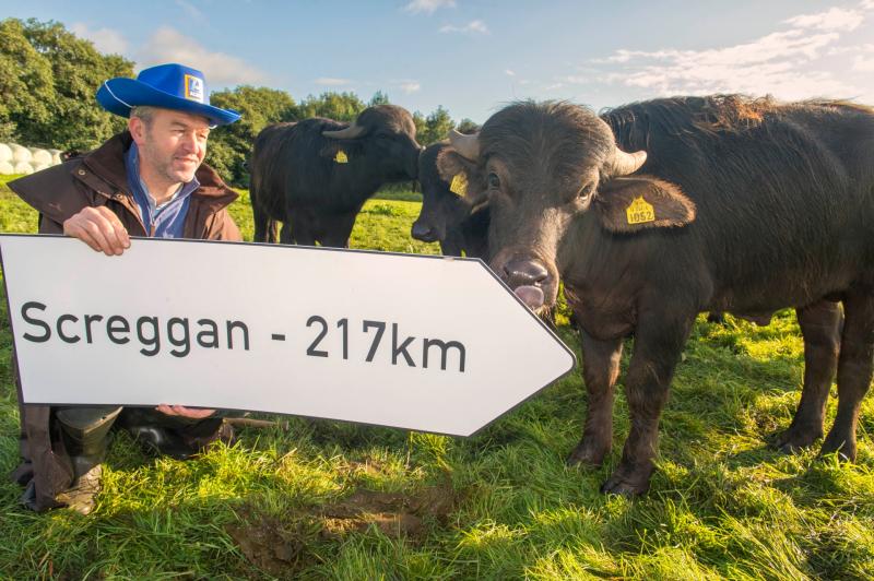 National Ploughing Championships