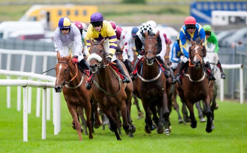Roscommon Races 