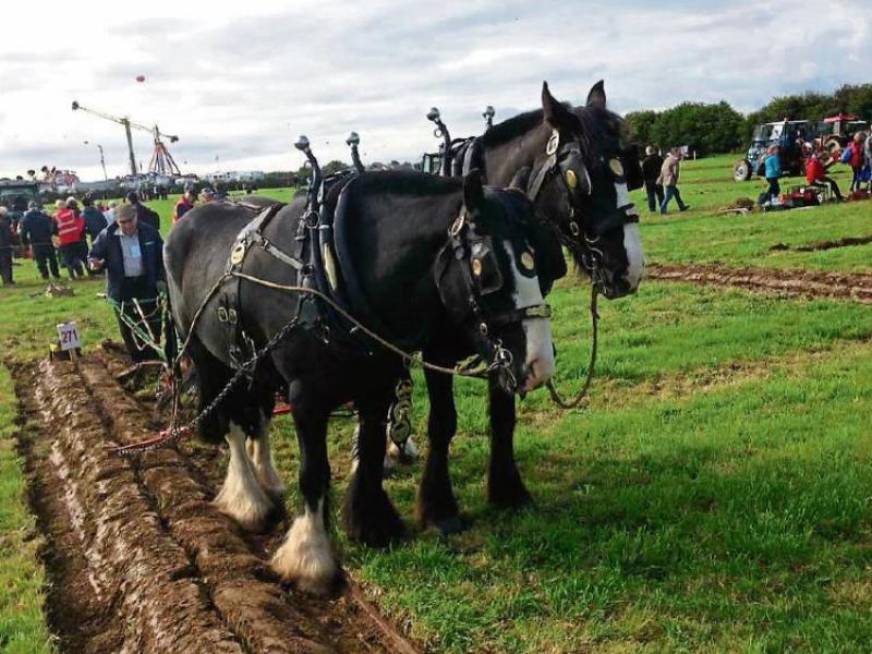 National Ploughing Championships 2017 