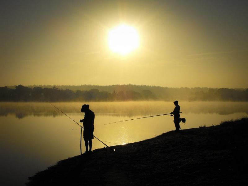 Longford Angling