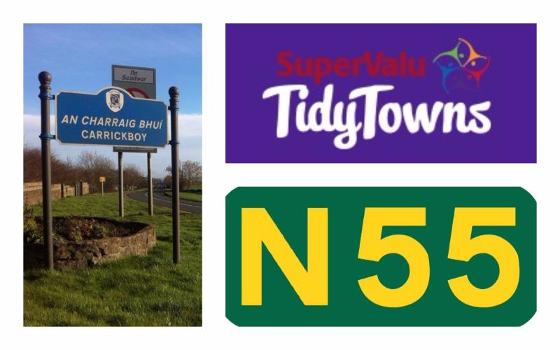 SuperValu Tidy Towns 2017: Carrickboy would benefit from additional effective traffic calming measures