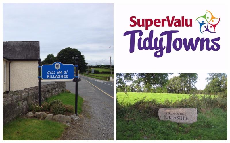 SuperValu Tidy Towns 2017: Tidy Towns adjudicator experiences hazardous N63 during Killashee walkabout