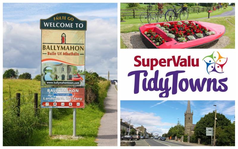 SuperValu Tidy Towns 2017: Ballymahon commended for its approach ahead of Center Parcs Longford Forest becoming operational