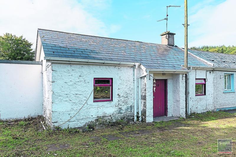 Leinster Property Auction now taking entries for December Longford Live