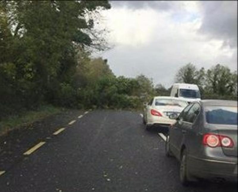 #Longford on RED Alert: Tree down on the Dublin Road in Longford #Ophelia 