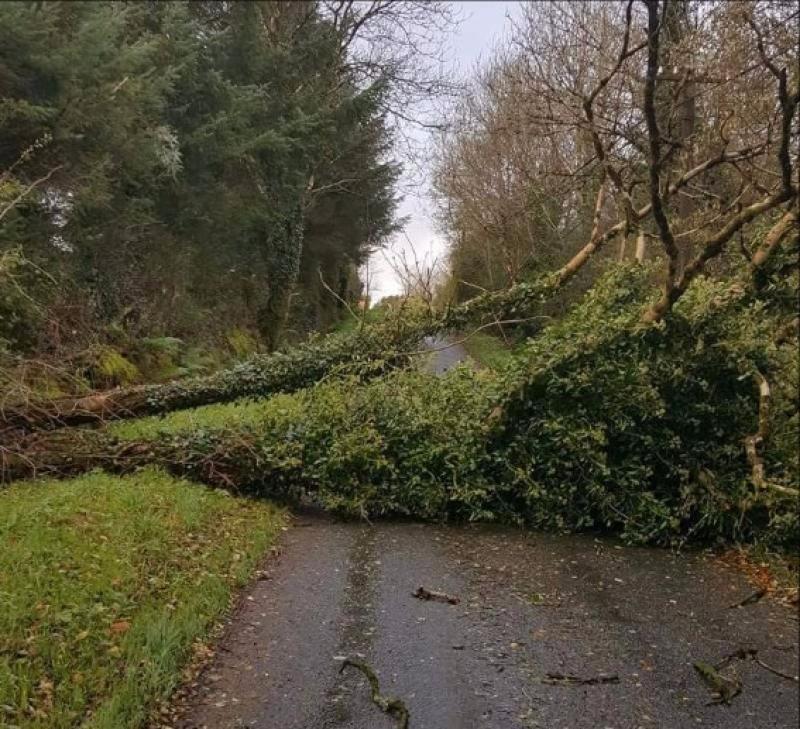 #Ophelia Update: #Longford Emergency Services dealing with fallen trees on national and regional roads