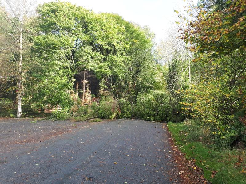 Ophelia, Longford 