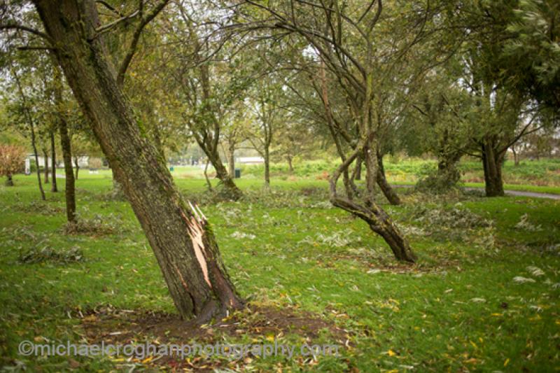 Storm Ophelia