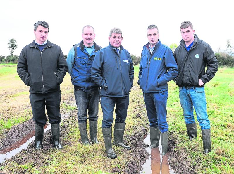 Fodder Crisis in Longford and Leitrim