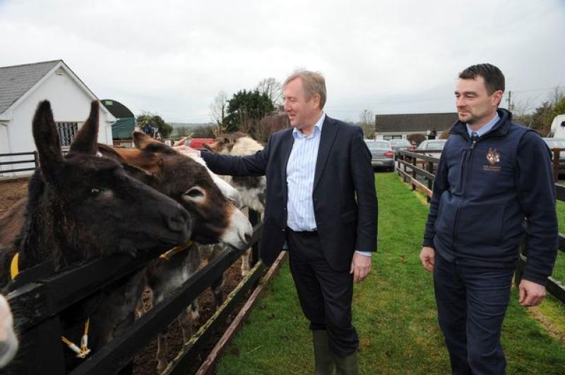 €473,000  allocated to three Longford animal welfare organisations