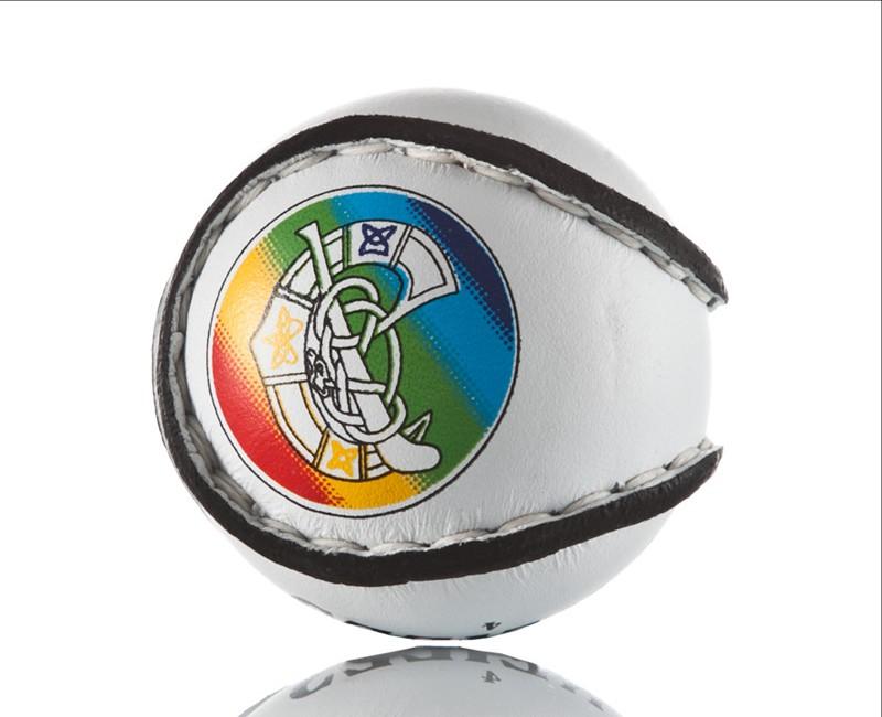  Camogie Association extended suspension of activities until April 19