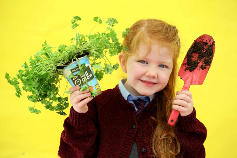 Longford schools invited to apply for free GIY packs 