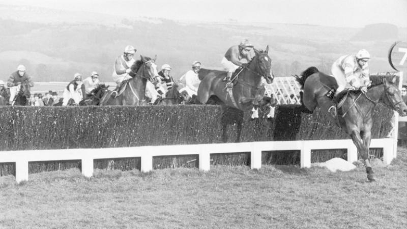 Longford's Top 10 Memorable Sporting Moments - Frank Berry secures  Gold Cup glory at Cheltenham
