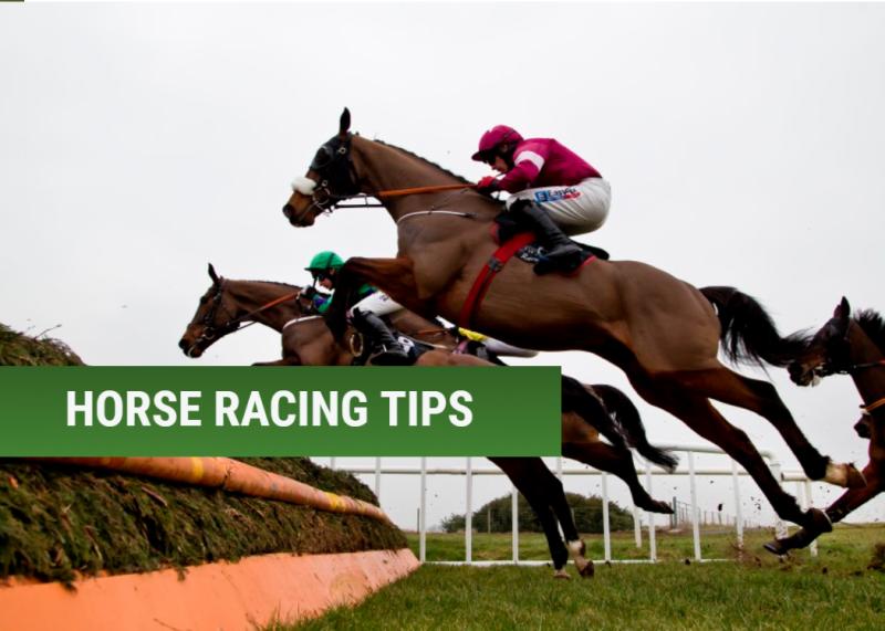 THE PUNTER'S EYE: A 33/1 Cheltenham accumulator that could make you a fortune this year