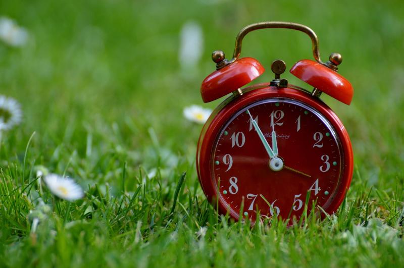 Daylight Savings Time