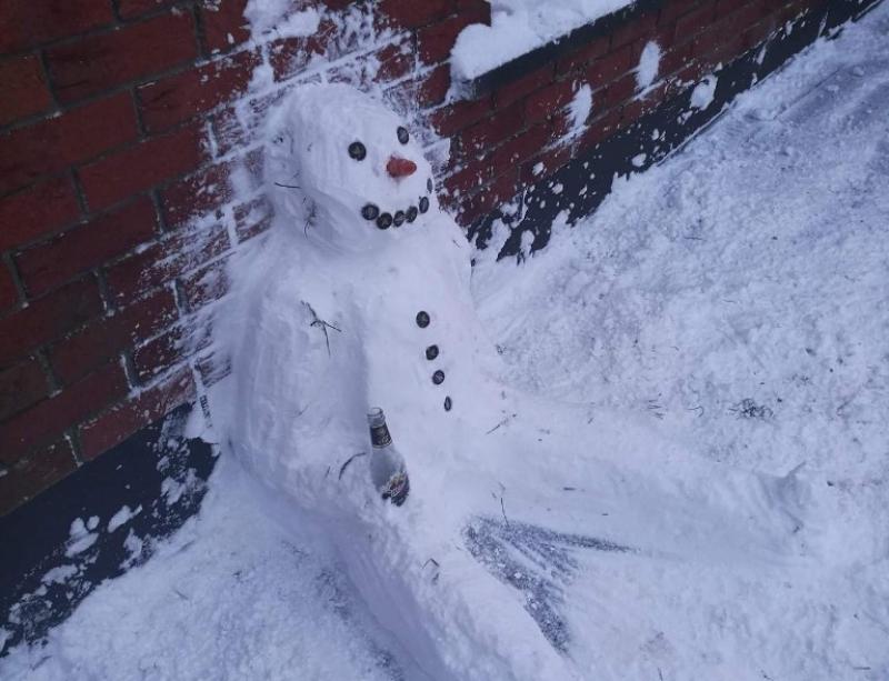 POLL: Help us choose Longford's best snowman
