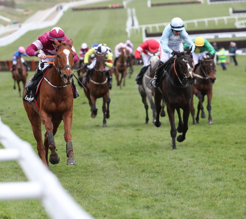 Irish Trainers Dominate at 2018 Cheltenham Festival