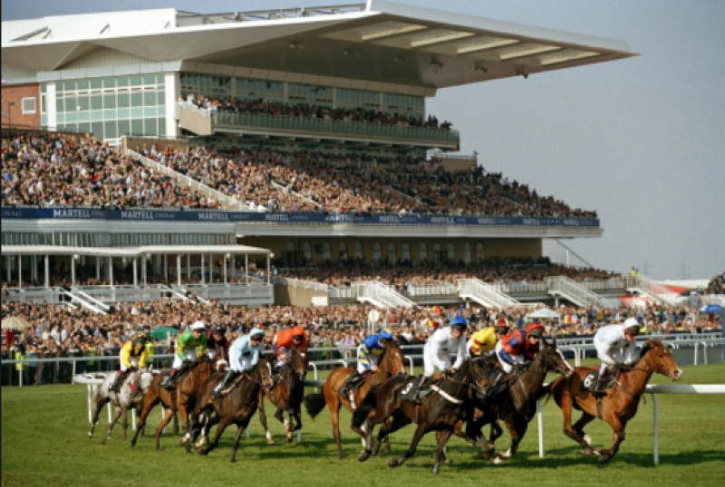 THE PUNTER'S EYE: Aintree Day 2 Tips - Friday, April 13